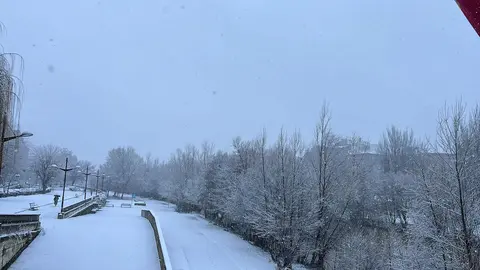 La nieve cae sin descanso desde primera hora de la mañana en la capital, complica seriamente la circulación urbana y obliga a mantener activado un amplio dispositivo municipal, mientras la provincia sigue bajo avisos y restricciones al tráfico. Fotos: Heraldo de León