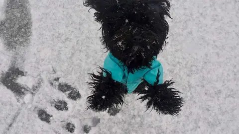 La nevada que desde primera hora ha sorprendido a los leoneses ha dejado estampas poco habituales en la ciudad. El fotógrafo de la agencia Ical, Carlos Campillo, ha inmortalizado ese momento.