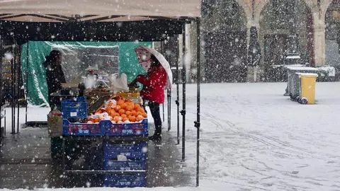 La nevada que desde primera hora ha sorprendido a los leoneses ha dejado estampas poco habituales en la ciudad. El fotógrafo de la agencia Ical, Carlos Campillo, ha inmortalizado ese momento.