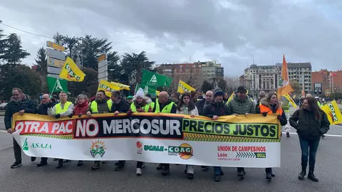 El corazón de León quedó prácticamente paralizado este jueves por la llegada de más de un centenar de tractores y cientos de agricultores y ganaderos que secundaron la tractorada convocada por las principales organizaciones profesionales agrarias. A.F. Reca