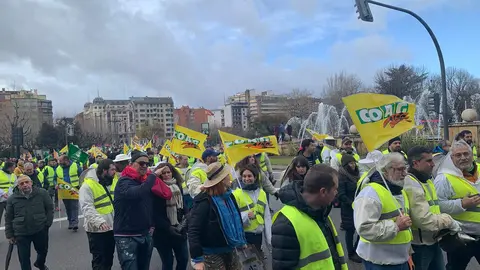 El corazón de León quedó prácticamente paralizado este jueves por la llegada de más de un centenar de tractores y cientos de agricultores y ganaderos que secundaron la tractorada convocada por las principales organizaciones profesionales agrarias. A.F. Reca