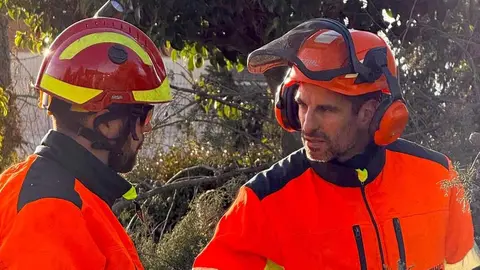 Un árbol de grandes dimensiones se desplomó este jueves frente al colegio María Auxiliadora, en la pedanía leonesa de Armunia, provocando varios daños materiales y generando momentos de preocupación entre los vecinos de la zona. Foto: Bomberos León