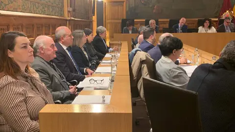 El pleno municipal de Ayuntamiento de León, que de nuevo se ha celebrado en el Palacio de los Guzmanes, ha tomado diferentes acuerdos, entre ellos la nueva ordenanza del taxi, consorcio de transporte y cambio en el nombre de calles. Fotos: A.F. Reca