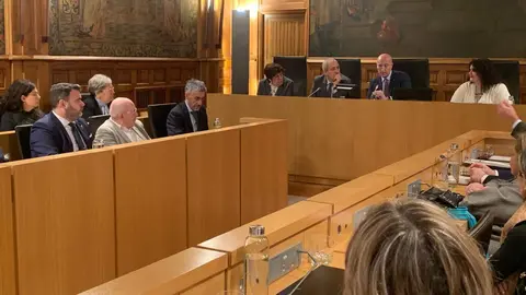 El pleno municipal de Ayuntamiento de León, que de nuevo se ha celebrado en el Palacio de los Guzmanes, ha tomado diferentes acuerdos, entre ellos la nueva ordenanza del taxi, consorcio de transporte y cambio en el nombre de calles. Fotos: A.F. Reca