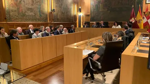 El pleno municipal de Ayuntamiento de León, que de nuevo se ha celebrado en el Palacio de los Guzmanes, ha tomado diferentes acuerdos, entre ellos la nueva ordenanza del taxi, consorcio de transporte y cambio en el nombre de calles. Fotos: A.F. Reca