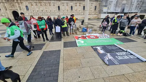 León dice no a la caza con galgos ni ningún otro tipo de raza de perro en una concentración en la plaza de San Marcos en Día del Galgo.