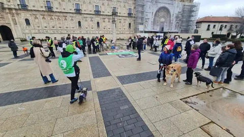 León dice no a la caza con galgos ni ningún otro tipo de raza de perro en una concentración en la plaza de San Marcos en Día del Galgo.