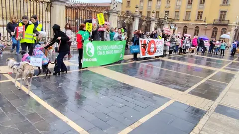 León dice no a la caza con galgos ni ningún otro tipo de raza de perro en una manifestación en Día del Galgo.