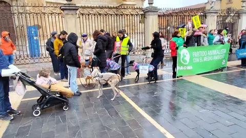 León dice no a la caza con galgos ni ningún otro tipo de raza de perro en una manifestación en Día del Galgo.