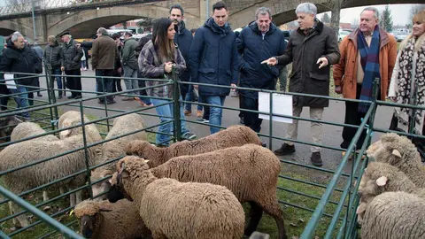 La vicesecretaria general del PSOECyL, y cabeza de lista por León a las elecciones autonómicas, Nuria Rubio, acompañada por el secretario general del PSOE de León, Javier Alfonso Cendón, y otros representantes socialistas, visita la VIII Feria Agroalimentaria Comarca de Rueda de Gradefes. Fotos: Peio García.