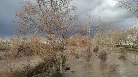Durante las últimas horas, el Bernesga ha experimentado una crecida rápida a su paso por la ciudad, coincidiendo con la fusión de nieve acumulada en cabeceras y las precipitaciones registradas desde el fin de semana. Fotos: AytoLeón