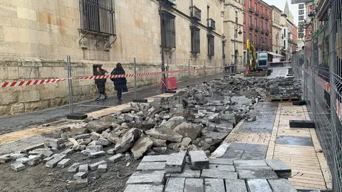 Arrancan los trabajos de remodelación de la calle Ancha de León.