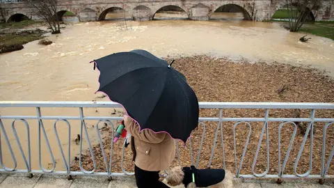 El río Bernesga se desborda a su paso por Puente Castro. Foto: Peio García.