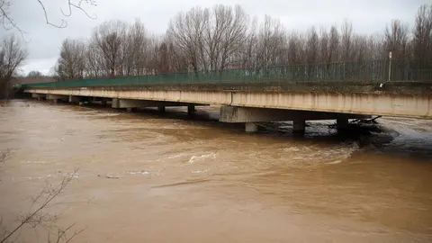 El río Esla se desborda a su paso por Villalobar. Foto: Peio García.