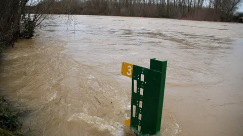 El río Esla se desborda a su paso por Villalobar. Foto: Peio García.