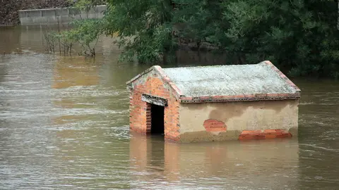 El río Órbigo se desborda a su paso por Cebrones del Río. Foto: Peio García