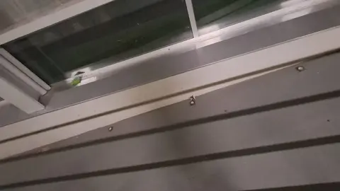 El Grupo Municipal de Unión del Pueblo Leonés (UPL) ha reclamado al equipo de gobierno del Ayuntamiento de León una actuación inmediata en el pabellón Ventas Oeste, al considerar que presenta un estado “lamentable” de conservación, mantenimiento y limpieza.