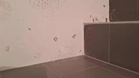 El Grupo Municipal de Unión del Pueblo Leonés (UPL) ha reclamado al equipo de gobierno del Ayuntamiento de León una actuación inmediata en el pabellón Ventas Oeste, al considerar que presenta un estado “lamentable” de conservación, mantenimiento y limpieza.