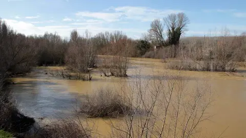 Crecida del río Esla a su paso por Valencia de Don Juan. Foto: Peio García