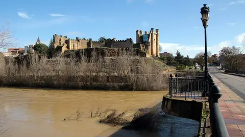 Crecida del río Esla a su paso por Valencia de Don Juan. Foto: Peio García