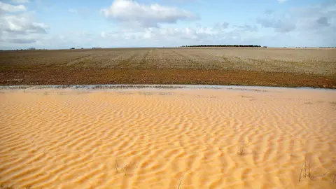 Tierras de cultivo anegadas por las precipitaciones y las crecidas del río Cea, cerca de Valderas. Foto: Peio García