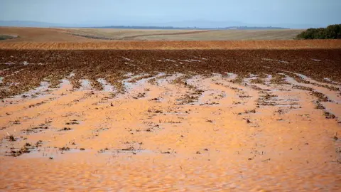 Tierras de cultivo anegadas por las precipitaciones y las crecidas del río Cea, cerca de Valderas. Foto: Peio García