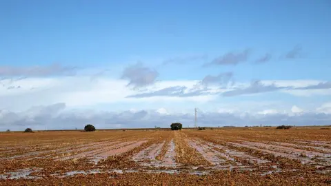 Tierras de cultivo anegadas por las precipitaciones y las crecidas del río Cea, cerca de Valderas. Foto: Peio García