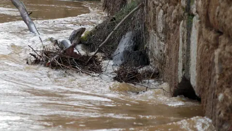 El río Cea desborda en la localidad de Valderas. Foto: Peio García