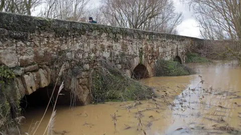 El río Cea desborda en la localidad de Valderas. Foto: Peio García