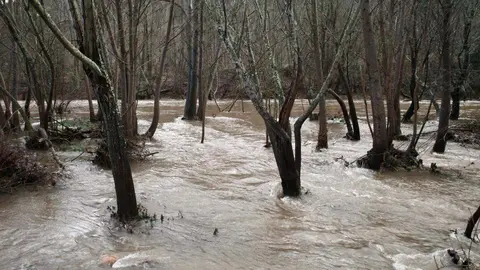 Aumento del caudal de los ríos Sil y Boeza a su paso por Ponferrada. Foto: César Sánchez