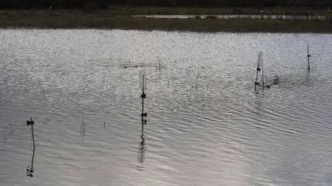 La provincia de León continúa este viernes bajo una estrecha vigilancia hidrológica debido al aumento del caudal de varios ríos, con 16 avisos activos, de los cuales siete se mantienen en nivel naranja, según los datos de la Confederación Hidrográfica del Duero (CHD). En la imagen, crecidas en las localidades de Cacabelos y Camponaraya. Fotos: César Sánchez