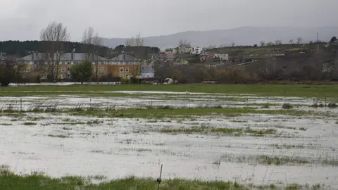 La provincia de León continúa este viernes bajo una estrecha vigilancia hidrológica debido al aumento del caudal de varios ríos, con 16 avisos activos, de los cuales siete se mantienen en nivel naranja, según los datos de la Confederación Hidrográfica del Duero (CHD). En la imagen, crecidas en las localidades de Cacabelos y Camponaraya. Fotos: César Sánchez