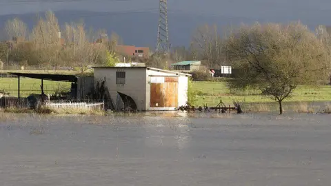 La provincia de León continúa este viernes bajo una estrecha vigilancia hidrológica debido al aumento del caudal de varios ríos, con 16 avisos activos, de los cuales siete se mantienen en nivel naranja, según los datos de la Confederación Hidrográfica del Duero (CHD). En la imagen, crecidas en las localidades de Cacabelos y Camponaraya. Fotos: César Sánchez