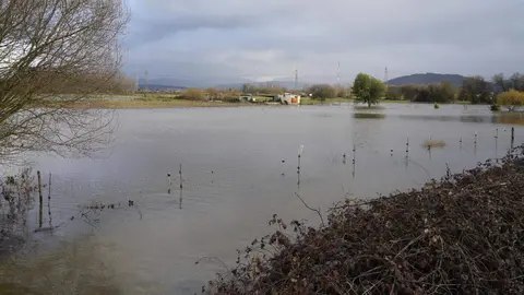 La provincia de León continúa este viernes bajo una estrecha vigilancia hidrológica debido al aumento del caudal de varios ríos, con 16 avisos activos, de los cuales siete se mantienen en nivel naranja, según los datos de la Confederación Hidrográfica del Duero (CHD). En la imagen, crecidas en las localidades de Cacabelos y Camponaraya. Fotos: César Sánchez