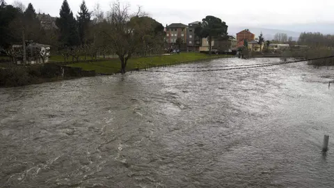 La provincia de León continúa este viernes bajo una estrecha vigilancia hidrológica debido al aumento del caudal de varios ríos, con 16 avisos activos, de los cuales siete se mantienen en nivel naranja, según los datos de la Confederación Hidrográfica del Duero (CHD). En la imagen, crecidas en las localidades de Cacabelos y Camponaraya. Fotos: César Sánchez