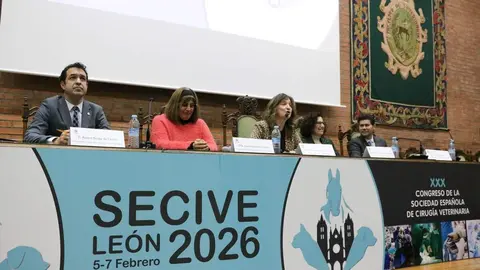 La Facultad de Veterinaria de la Universidad de León acoge el XXX Congreso de la Sociedad Española de Cirugía Veterinaria, reuniendo a más de 300 expertos nacionales e internacionales para abordar las técnicas más avanzadas en cirugía ortopédica, de tejidos blandos y mínimamente invasiva en animales. Foto: ULE.
