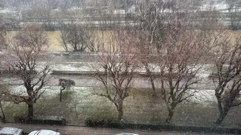 Imagen de León capital este sábado bajo la nieve.