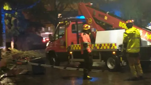 Los Bomberos de León actúan tras la caída de un pino en un parque de la capital. El árbol se desplomó en la plaza del Huevo por el efecto del temporal de lluvias de los últimos días, aún visible en la ciudad.
