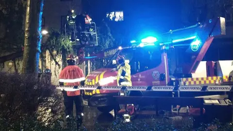 Los Bomberos de León actúan tras la caída de un pino en un parque de la capital. El árbol se desplomó en la plaza del Huevo por el efecto del temporal de lluvias de los últimos días, aún visible en la ciudad.