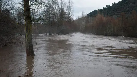 Aumento del caudal del río Sil a su paso por Ponferrada. Foto: César Sánchez.