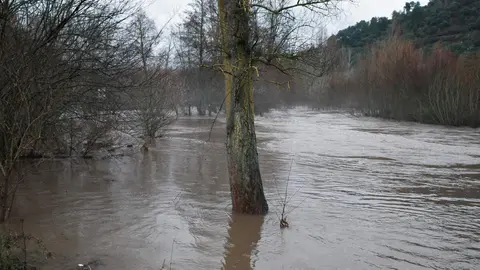 Aumento del caudal del río Sil a su paso por Ponferrada. Foto: César Sánchez.