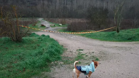 Accesos cerrados al paseo del río Sil a su paso por Ponferrada, debido al aumento del cauce por el temporal de lluvias. Foto: César Sánchez.