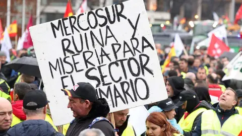 Cientos de tractoristas colapsan el centro de Madrid en la gran protesta agraria. Una veintena de vehículos de agricultores leoneses, que partieron el lunes desde León capital, se suman a la tractorada que bloquea Castellana, Recoletos y Prado contra la PAC y Mercosur. Foto: Juan Lázaro