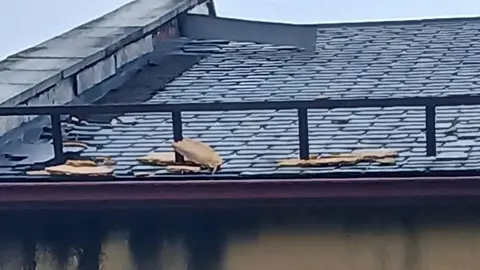 Izquierda Unida en Matallana de Torío ha denunciado el estado de conservación del Centro de Salud de la localidad, dependiente de la Junta de Castilla y León, y ha reclamado actuaciones inmediatas para corregir las deficiencias detectadas.