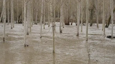 Desbordamiento de ríos en varias localidades de la comarca del Bierzo. Foto: César Sánchez