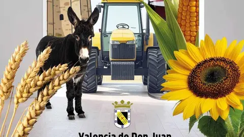 La Feria de febrero de Valencia de Don Juan (León), dedicada fundamentalmente al sector agrario, se celebra del 19 al 21 de febrero en el Complejo La Isla, con más de 160 expositores en su edición 105, según se explicó hoy en la presentación del encuentro, celebrada en la Delegación Territorial de la Junta en León.