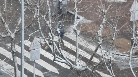 La nieve ha llegado de madrugada a León, donde continúa cayendo de forma leve a lo largo de este viernes. El episodio invernal ha transformado de nuevo el paisaje urbano, cubriendo calles, parques y tejados con un manto blanco que ya se deja notar tanto en la movilidad como en el ambiente, acompañado además de rachas de viento que incrementan la sensación térmica de frío.