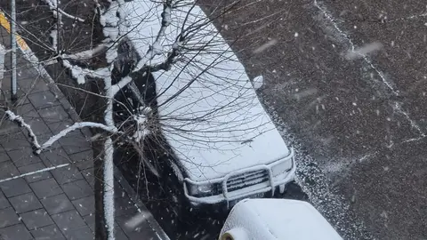 La nieve ha llegado de madrugada a León, donde continúa cayendo de forma leve a lo largo de este viernes. El episodio invernal ha transformado de nuevo el paisaje urbano, cubriendo calles, parques y tejados con un manto blanco que ya se deja notar tanto en la movilidad como en el ambiente, acompañado además de rachas de viento que incrementan la sensación térmica de frío.