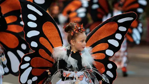 Cabalgata de Carnaval en la capital leonesa. Foto: Peio García