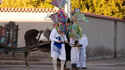 Antruejo de Carrizo de la Ribera 2026. Foto: Jesúsgg
